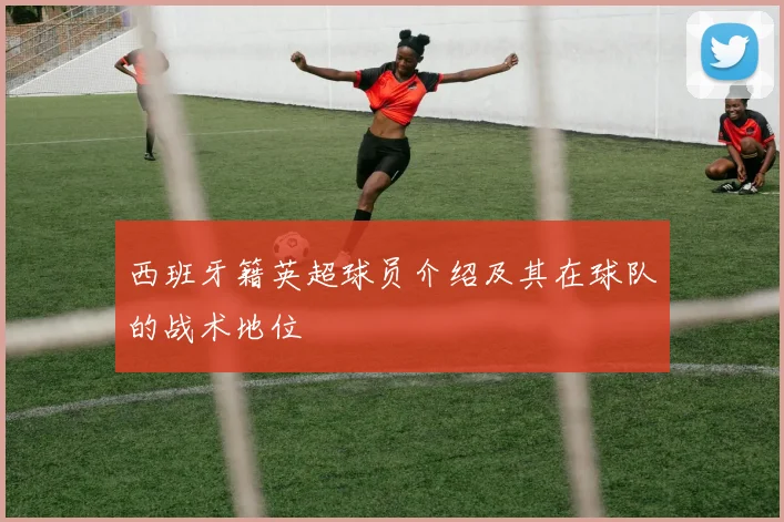 西班牙籍英超球员介绍及其在球队的战术地位