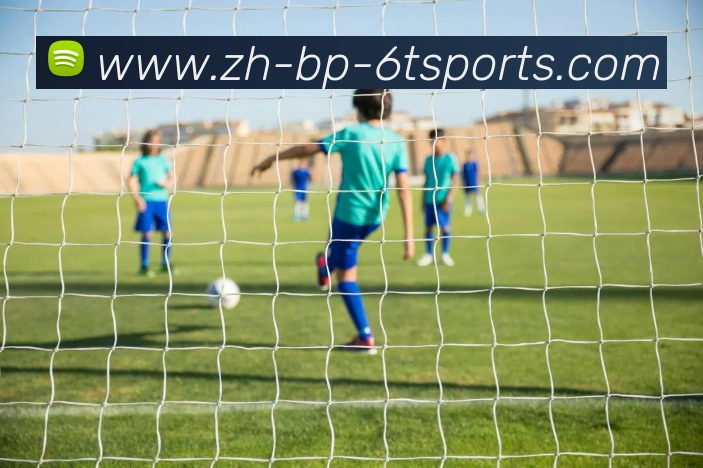 6T体育APP 高清赛事图